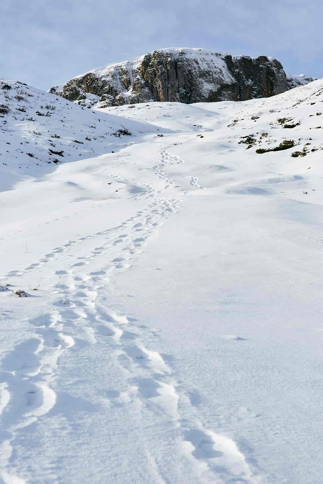Fußspuren im Schnee mit Blick auf das Plateau des Hohen Ifen im Kleinwalsertal